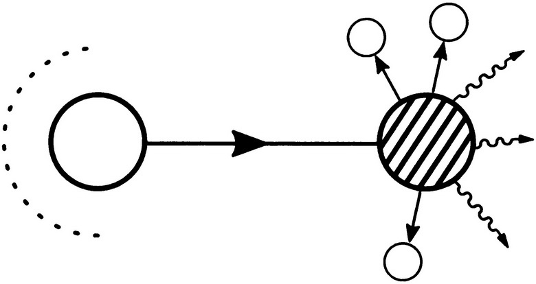 Иллюстрация к книге — Вся фигня - от мозга?! Простая психосоматика для сложных граждан [i_045.jpg]