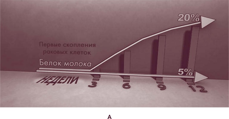 Иллюстрация к книге — Вилки вместо ножей. Простой путь к здоровью [i_002.jpg]