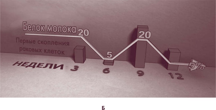 Иллюстрация к книге — Вилки вместо ножей. Простой путь к здоровью [i_003.jpg]
