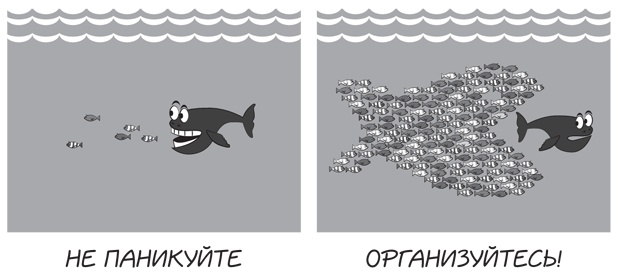 Иллюстрация к книге — Прыжок в мечту, или Продажи в B2B. Как выигрывать в два раза больше корпоративных тендеров [i_039.jpg]