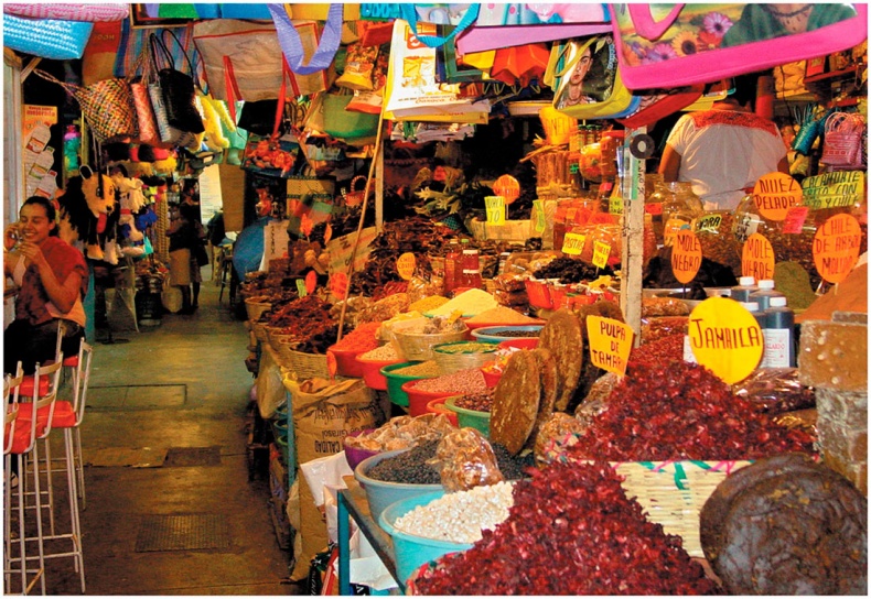 Иллюстрация к книге — Как понять акварель. Руководство для тех, кто хочет стать мастером [i_029.jpg]