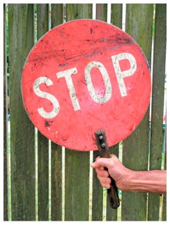 Иллюстрация к книге — Как понять акварель. Руководство для тех, кто хочет стать мастером [i_041.jpg]