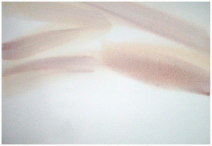 Иллюстрация к книге — Как понять акварель. Руководство для тех, кто хочет стать мастером [i_110.jpg]