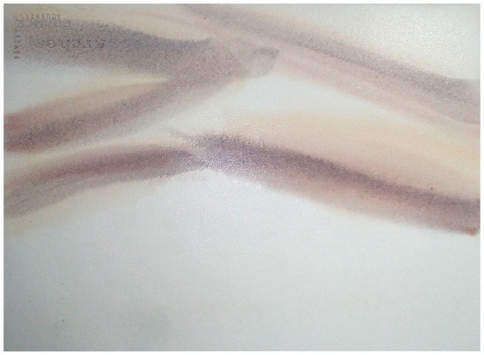 Иллюстрация к книге — Как понять акварель. Руководство для тех, кто хочет стать мастером [i_111.jpg]