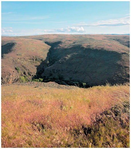 Иллюстрация к книге — Как понять акварель. Руководство для тех, кто хочет стать мастером [i_135.jpg]