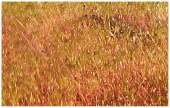 Иллюстрация к книге — Как понять акварель. Руководство для тех, кто хочет стать мастером [i_136.jpg]