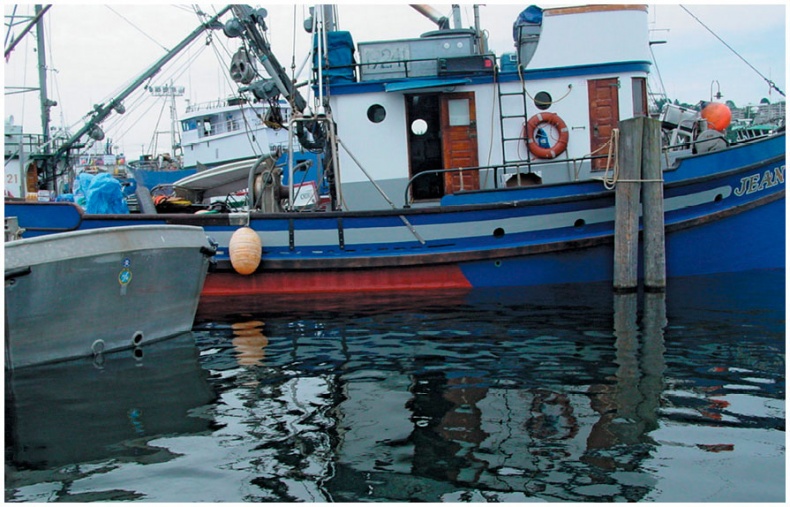 Иллюстрация к книге — Как понять акварель. Руководство для тех, кто хочет стать мастером [i_167.jpg]