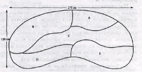 Иллюстрация к книге — Однолетние цветы рукотворной красоты [i_003.jpg]
