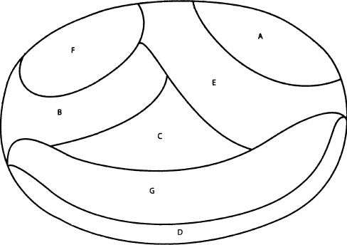 Иллюстрация к книге — Однолетние цветы рукотворной красоты [i_006.jpg]