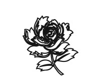 Иллюстрация к книге — Все будет хорошо! [i_004.jpg]