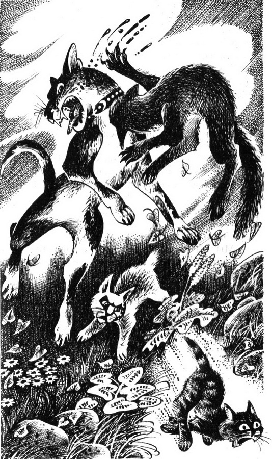 Иллюстрация к книге — Юность Грома [pic_2.jpg]