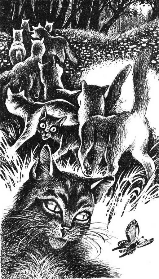 Иллюстрация к книге — Юность Грома [pic_4.jpg]