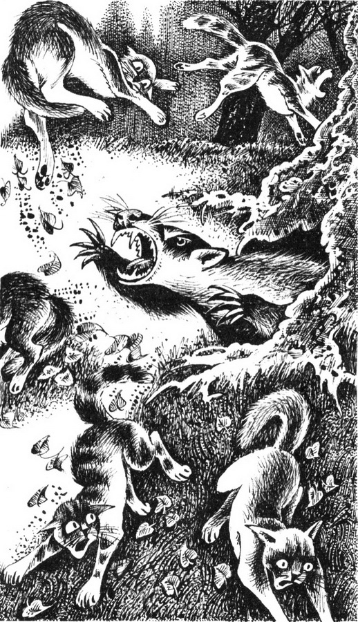 Иллюстрация к книге — Юность Грома [pic_5.jpg]