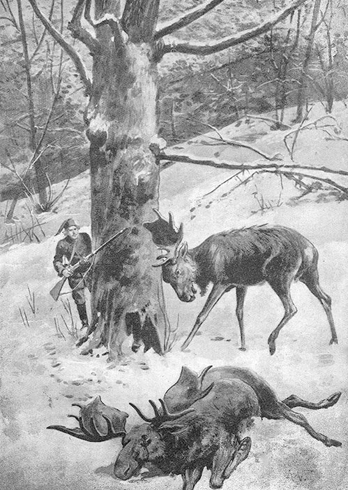 Иллюстрация к книге — Корсары Южных морей [i_044.jpg]