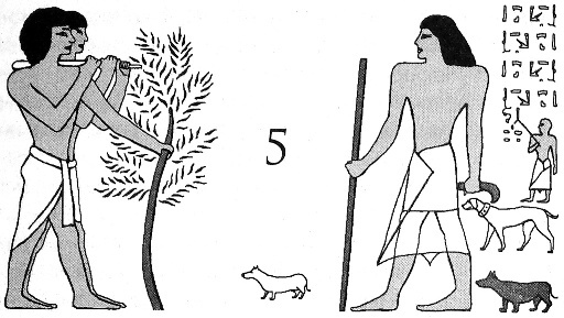 Иллюстрация к книге — Цари-жрецы [i_005.jpg]