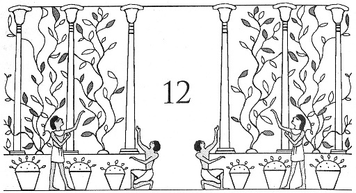 Иллюстрация к книге — Цари-жрецы [i_012.jpg]