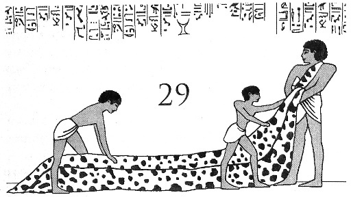 Иллюстрация к книге — Цари-жрецы [i_029.jpg]