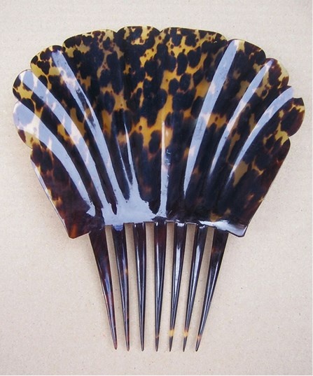 Иллюстрация к книге — Жертвы моды. Опасная одежда прошлого и наших дней [b00000535.jpg]