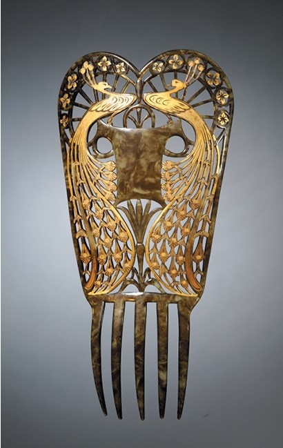 Иллюстрация к книге — Жертвы моды. Опасная одежда прошлого и наших дней [b00000541.jpg]