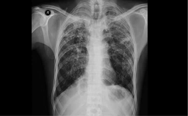 Иллюстрация к книге — Жертвы моды. Опасная одежда прошлого и наших дней [b00000565.jpg]