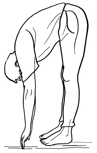 Иллюстрация к книге — Йога для всех. Путь к здоровью [i_011.jpg]