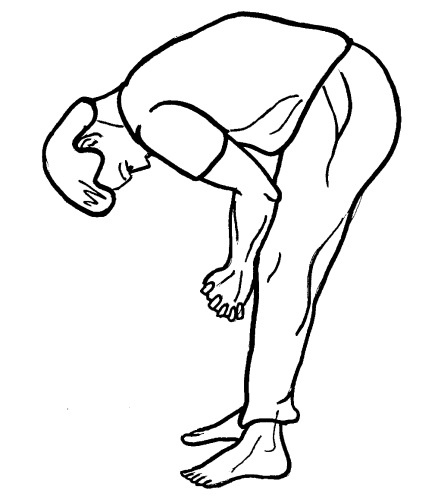 Иллюстрация к книге — Йога для всех. Путь к здоровью [i_016.jpg]