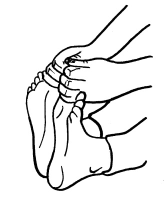 Иллюстрация к книге — Йога для всех. Путь к здоровью [i_024.jpg]