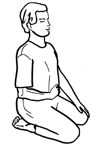 Иллюстрация к книге — Йога для всех. Путь к здоровью [i_032.jpg]