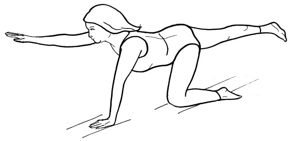 Иллюстрация к книге — Йога для всех. Путь к здоровью [i_041.jpg]