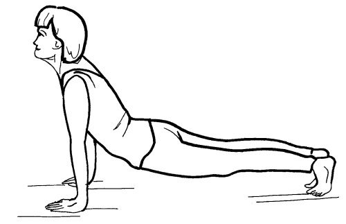 Иллюстрация к книге — Йога для всех. Путь к здоровью [i_058.jpg]