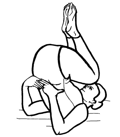 Иллюстрация к книге — Йога для всех. Путь к здоровью [i_067.jpg]