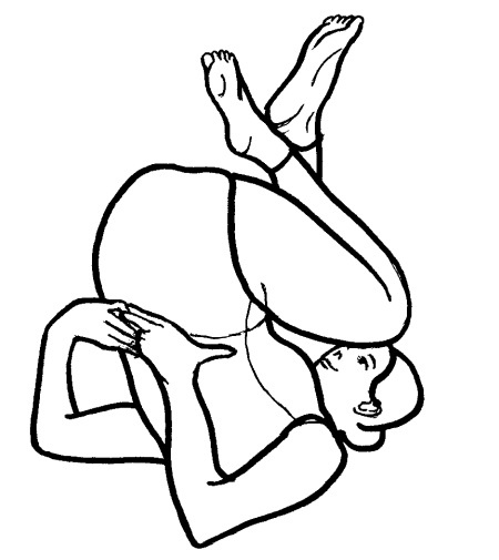 Иллюстрация к книге — Йога для всех. Путь к здоровью [i_069.jpg]