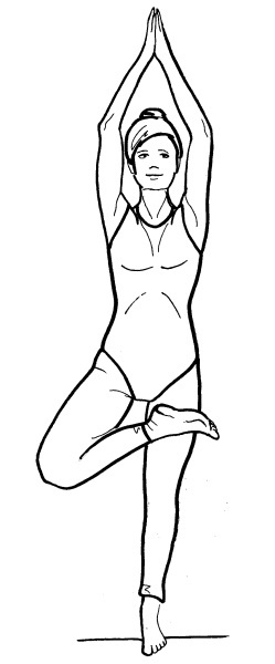 Иллюстрация к книге — Йога для всех. Путь к здоровью [i_077.jpg]