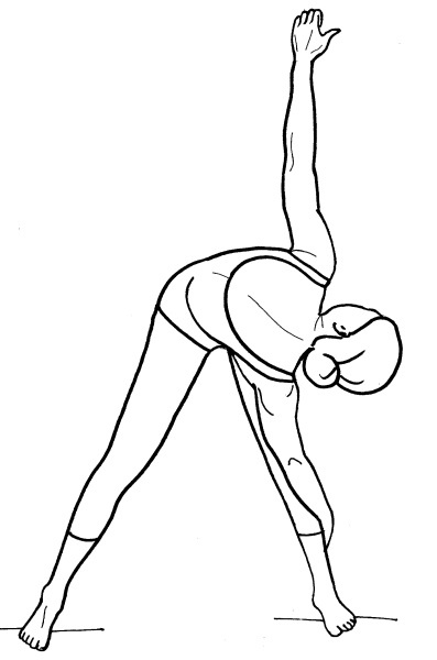 Иллюстрация к книге — Йога для всех. Путь к здоровью [i_079.jpg]