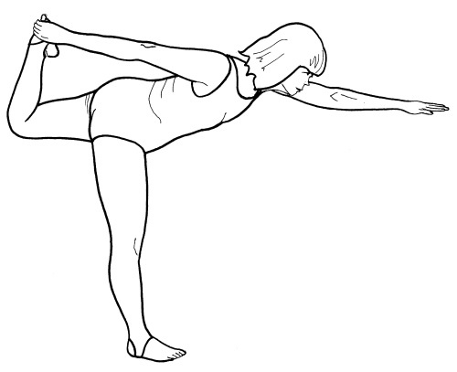 Иллюстрация к книге — Йога для всех. Путь к здоровью [i_082.jpg]