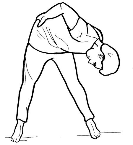 Иллюстрация к книге — Йога для всех. Путь к здоровью [i_084.jpg]