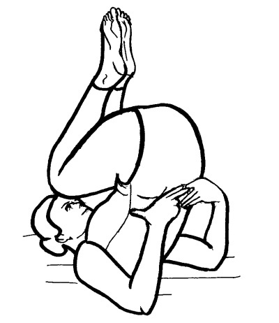 Иллюстрация к книге — Йога для всех. Путь к здоровью [i_093.jpg]