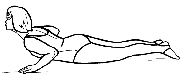 Иллюстрация к книге — Йога для всех. Путь к здоровью [i_097.jpg]