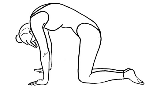 Иллюстрация к книге — Йога для всех. Путь к здоровью [i_112.jpg]