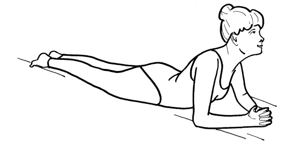 Иллюстрация к книге — Йога для всех. Путь к здоровью [i_120.jpg]