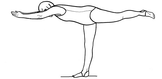 Иллюстрация к книге — Йога для всех. Путь к здоровью [i_129.jpg]