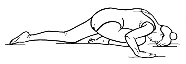 Иллюстрация к книге — Йога для всех. Путь к здоровью [i_134.jpg]