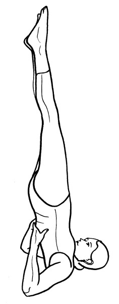 Иллюстрация к книге — Йога для всех. Путь к здоровью [i_140.jpg]