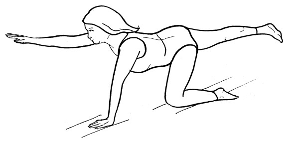 Иллюстрация к книге — Йога для всех. Путь к здоровью [i_166.jpg]