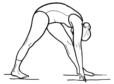 Иллюстрация к книге — Йога для всех. Путь к здоровью [i_195.jpg]