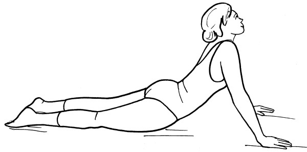 Иллюстрация к книге — Йога для всех. Путь к здоровью [i_200.jpg]