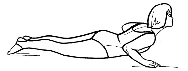 Иллюстрация к книге — Йога для всех. Путь к здоровью [i_213.jpg]