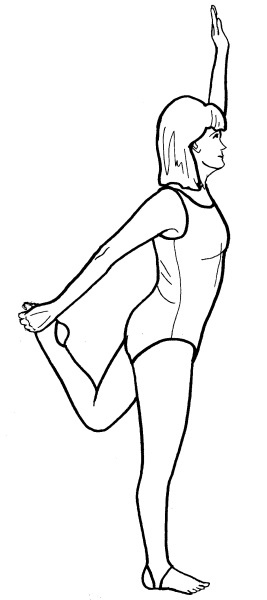 Иллюстрация к книге — Йога для всех. Путь к здоровью [i_218.jpg]