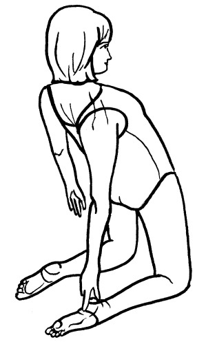 Иллюстрация к книге — Йога для всех. Путь к здоровью [i_222.jpg]