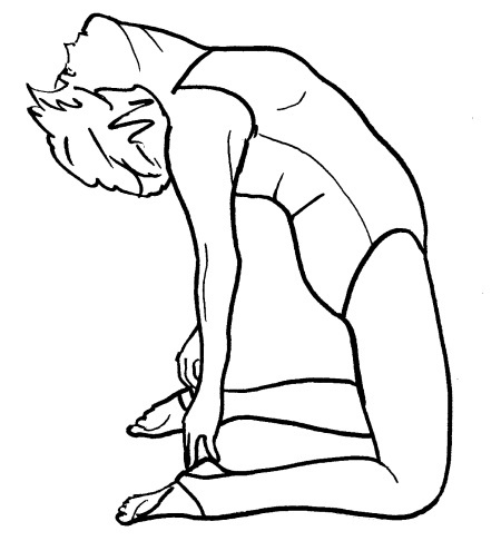 Иллюстрация к книге — Йога для всех. Путь к здоровью [i_223.jpg]